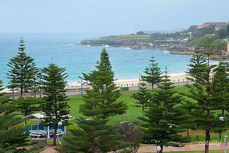 Property photo of 4/27 Dolphin Street Randwick NSW 2031