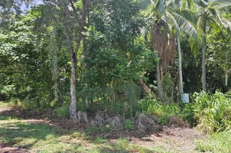Property photo of 83 Forrest Drive Forrest Beach QLD 4850