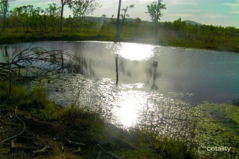 Property photo of 71 Hedlow Road Cawarral QLD 4702