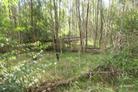 Property photo of Ewingar Road Bulldog NSW 2469