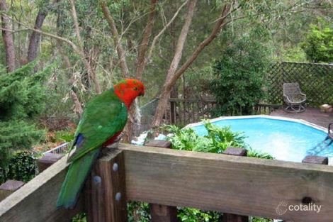 18 Claros Cl, Hornsby Heights, NSW 2077