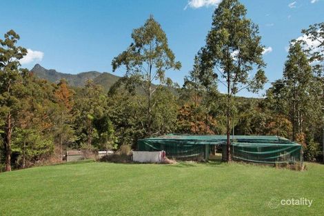 Property photo of 1270 Tyalgum Road Tyalgum NSW 2484