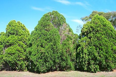 15 Rigby Cres, West Gladstone, QLD 4680