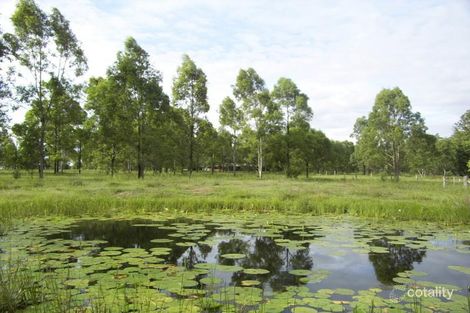 Property photo of 955 Caboolture River Road Rocksberg QLD 4510