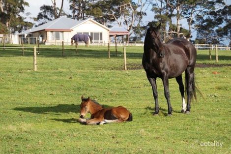 41 Barry Rd, Scotsdale, WA 6333