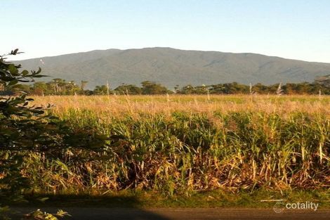 21 Matthews Rd, Eubenangee, QLD 4860