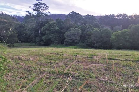 Property photo of 361 Schreibers Road Cooran QLD 4569