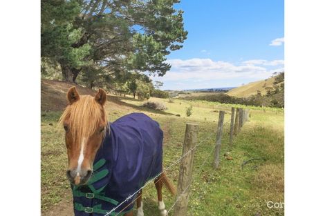 Property photo of 79 Nunn Road Myponga SA 5202