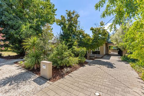 Property photo of 9 Cook Street Kooringal NSW 2650