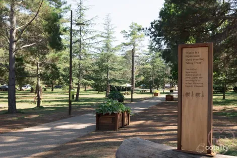 Property photo of 203/24 Girrahween Street Braddon ACT 2612