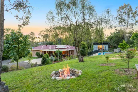Property photo of 51 Mamaku Street Fernvale QLD 4306