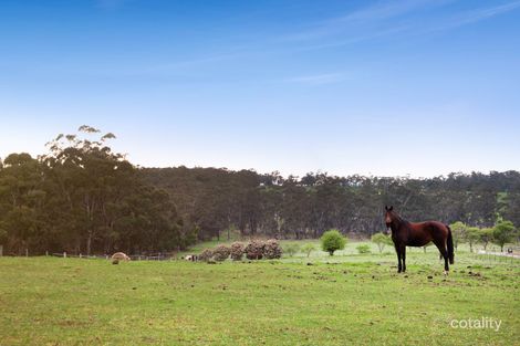 Property photo of 235 Tripp McDonalds Road Nilma North VIC 3821