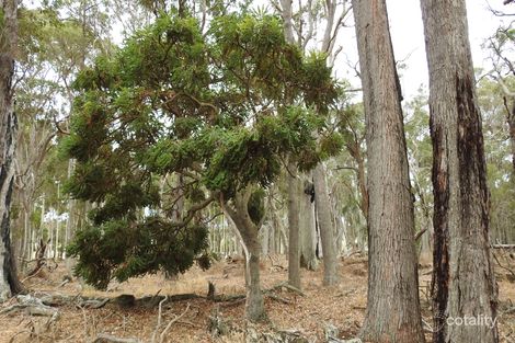 Property photo of 665 Wirring Road Cowaramup WA 6284