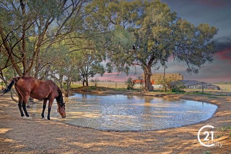 63 Wharparilla Rd, Wharparilla, VIC 3564