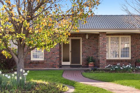 Property photo of 58 Hamilton Avenue Warradale SA 5046