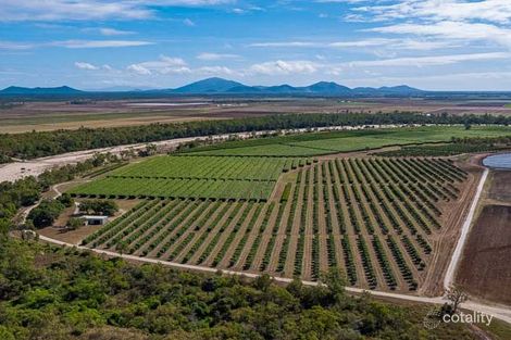 376 Mount Dangar Rd, Bowen, QLD 4805