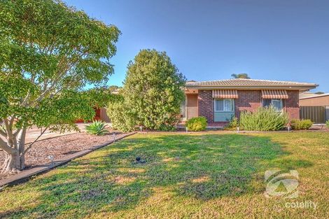 17 Alicante Ave, Wynn Vale, SA 5127