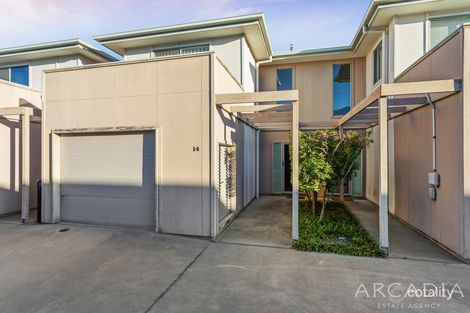 Property photo of 14/127 Duffield Road Kallangur QLD 4503