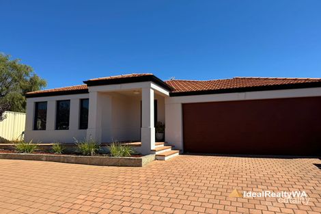 1/24 Blackwood Ave, Hamilton Hill, WA 6163