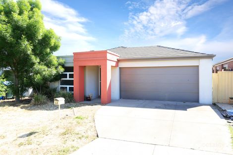 Property photo of 43 Larson Avenue Tarneit VIC 3029