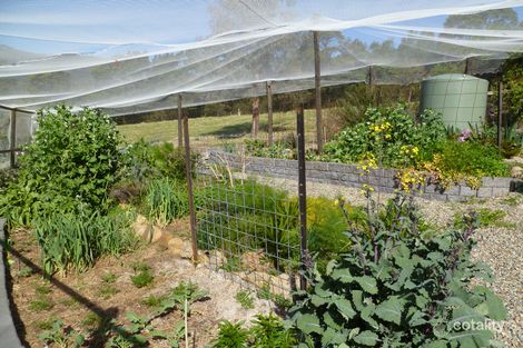 Property photo of 210 Burragate Road Burragate NSW 2550