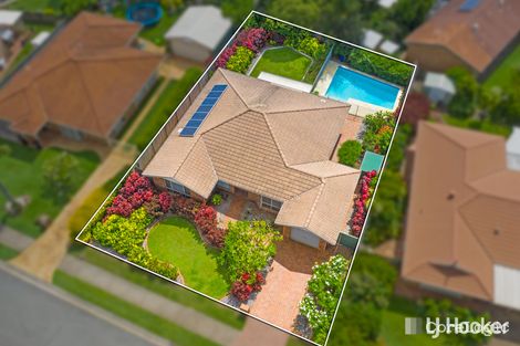 Property photo of 14 Macgregor Drive Birkdale QLD 4159