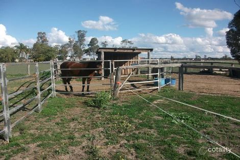 Property photo of 43 Gurners Lane Goondiwindi QLD 4390