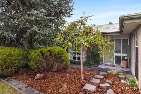 Property photo of 6 Nareen Avenue Coolaroo VIC 3048