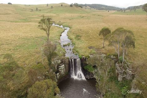 7314 Grafton Rd, Ebor, NSW 2453