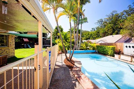 Property photo of 31 Khancoban Drive Buderim QLD 4556