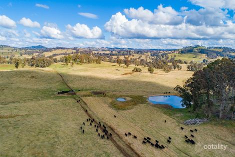 10928 Thunderbolts Way, Walcha, NSW 2354
