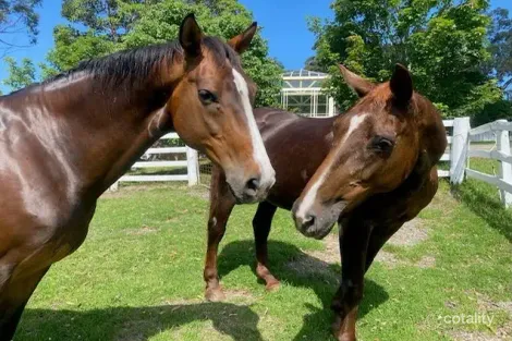 120 Hermitage Rd, Kurrajong Hills, NSW 2758