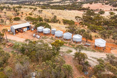 291 Mangalo Rd, Cleve, SA 5640