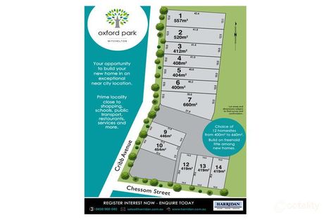 Property photo of 43 Cribb Avenue Mitchelton QLD 4053