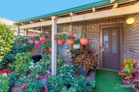 Property photo of 4/158 Salvado Road Wembley WA 6014