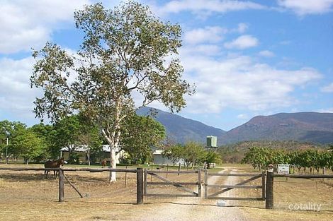 Property photo of 33 Duggan Drive Alligator Creek QLD 4816