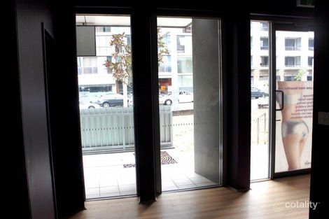 33a Lachlan St, Waterloo, NSW 2017