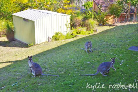 Property photo of 165-167 Haygarth Drive Kooralbyn QLD 4285