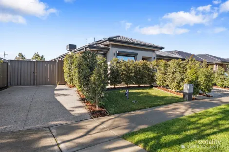 Property photo of 20 Amethyst Road Cobblebank VIC 3338