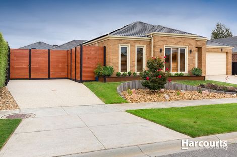 Property photo of 12 Saul Avenue Berwick VIC 3806