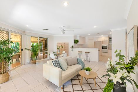 Property photo of 19 Lilly Lane Birkdale QLD 4159