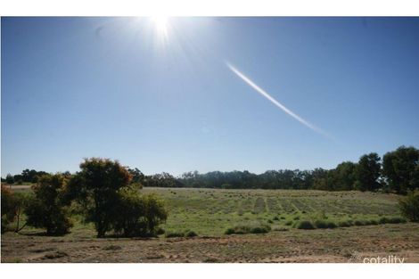 Property photo of 75 Echidna Way Conargo NSW 2710