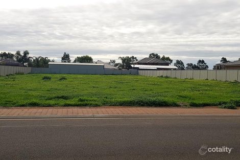 Property photo of 17 Hazel Avenue Angle Vale SA 5117