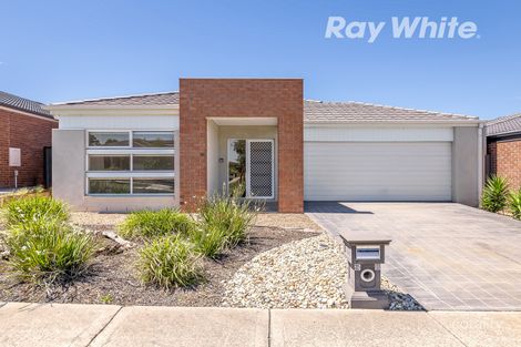 Property photo of 38 Chicory Street Mernda VIC 3754