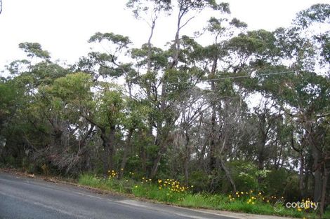 304 Mccarrs Creek Rd, Terrey Hills, NSW 2084