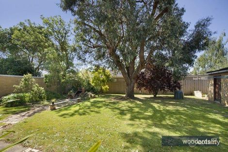 Property photo of 13 Harold Street Blackburn VIC 3130