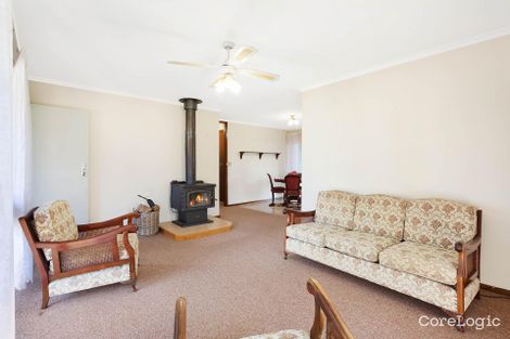 Property photo of 239 Auckland Street Bega NSW 2550