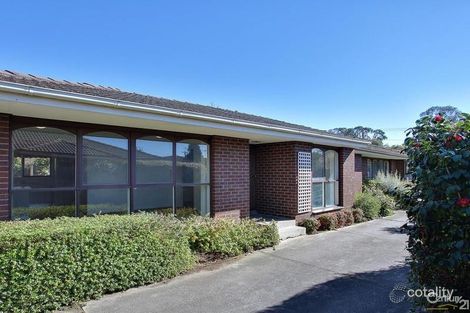 Property photo of 3/62 Mt Dandenong Road Ringwood East VIC 3135