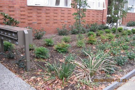 Property photo of 17/19A Ellesmere Road Windsor VIC 3181