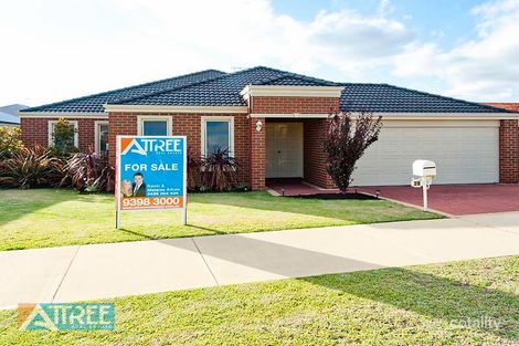 29 Whittaker Turn, Piara Waters, WA 6112